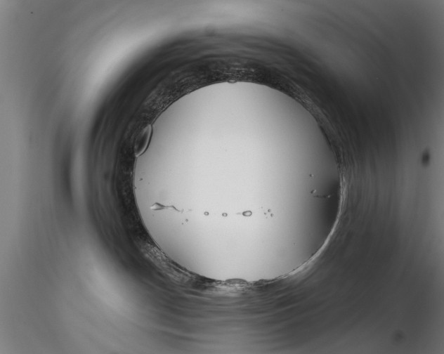 X0000116380190200912161510