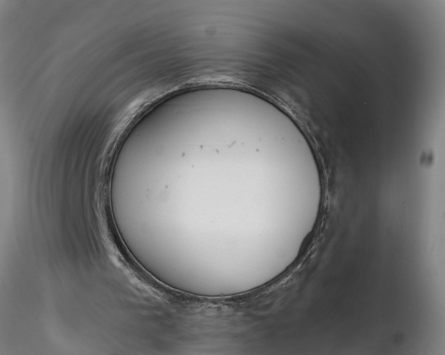 X0000116380193200912161509