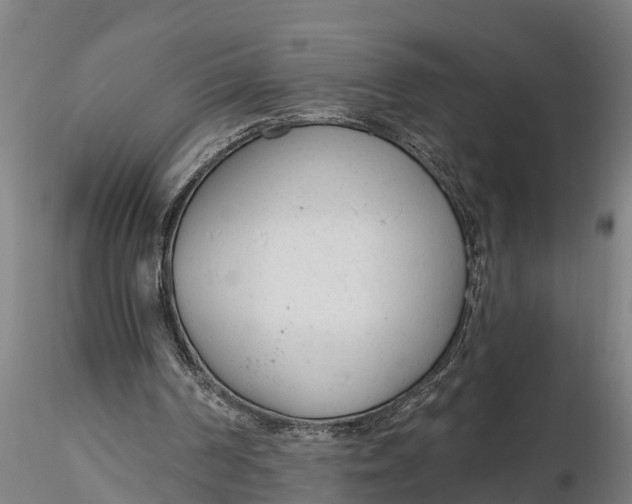 X0000116380194200912161509