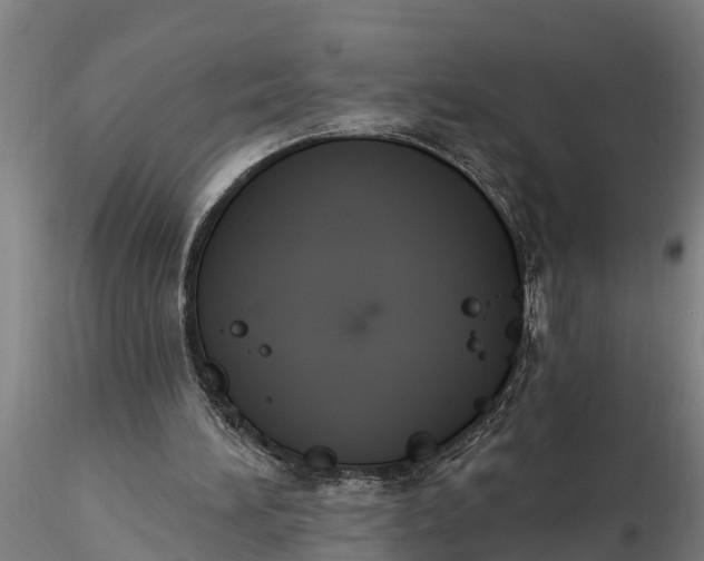X0000116380196200912161509