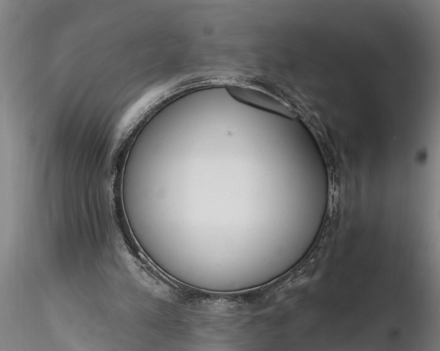 X0000116380197200912161509
