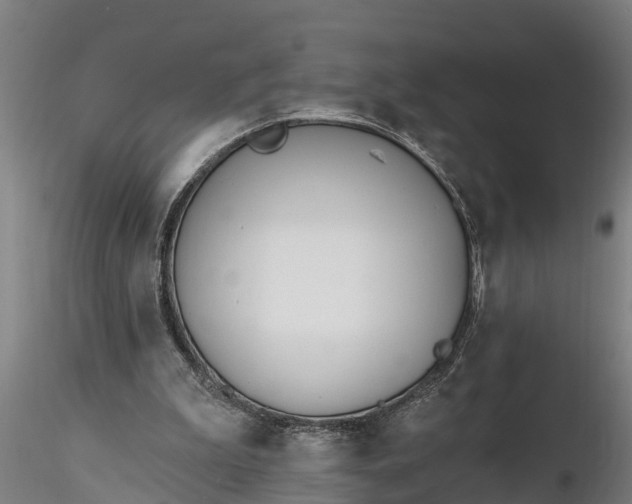 X0000116380199200912161509