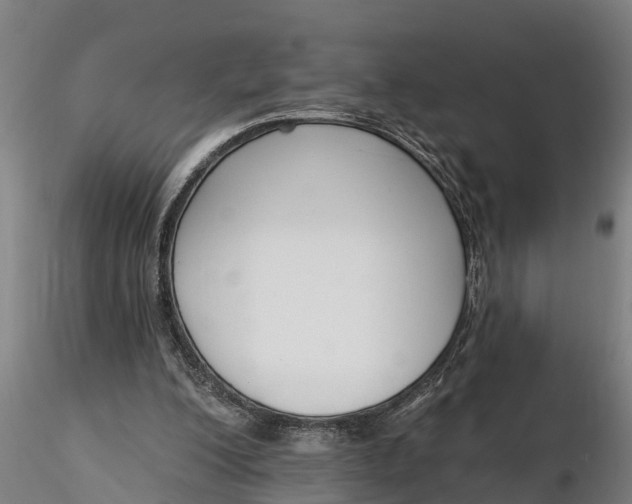 X0000116380200200912161509