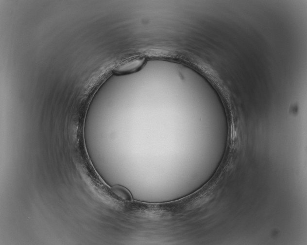 X0000116380201200912161509