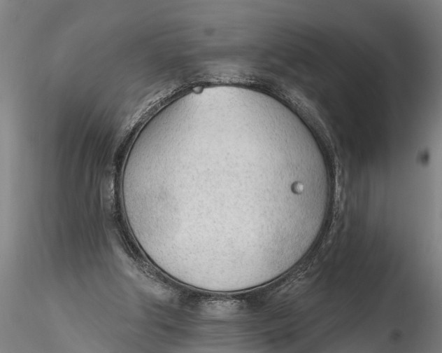 X0000116380202200912161509