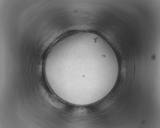 X0000116380206200912161509