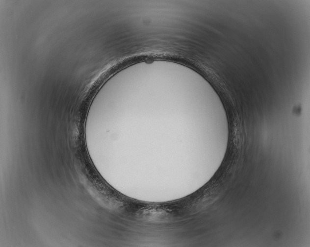 X0000116380208200912161509
