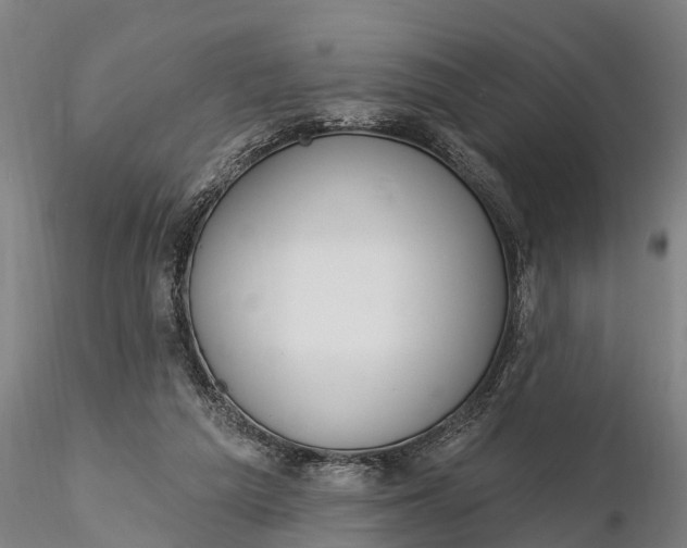 X0000116380209200912161509