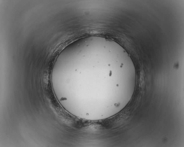 X0000116380210200912161508