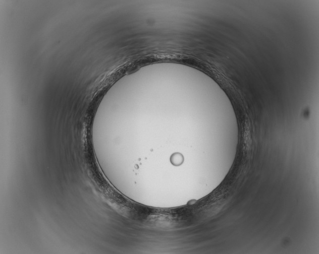 X0000116380211200912161508