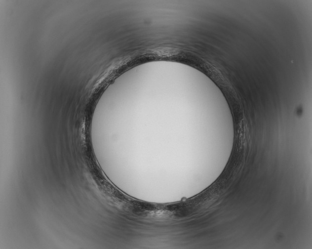 X0000116380212200912161508