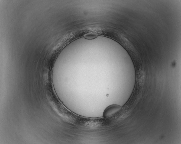 X0000116380213200912161508