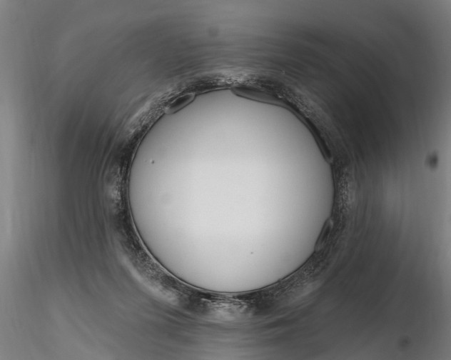 X0000116380215200912161508