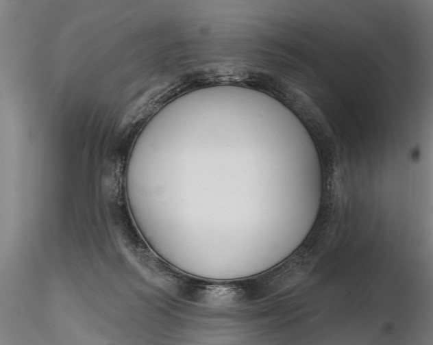 X0000116380218200912161508