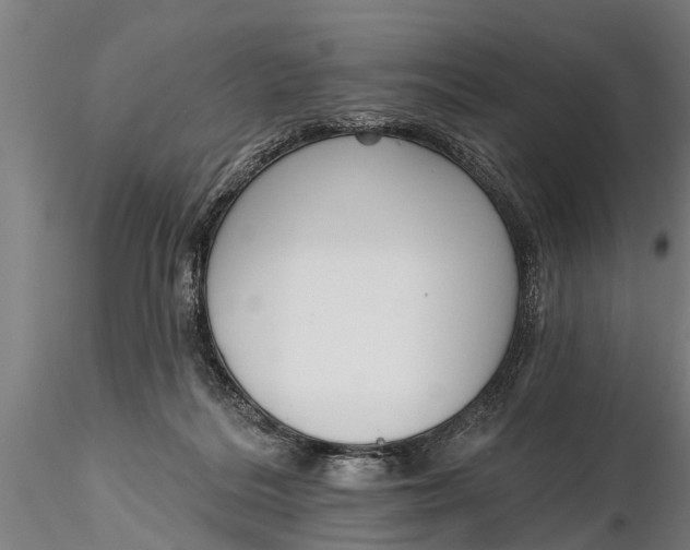 X0000116380220200912161508