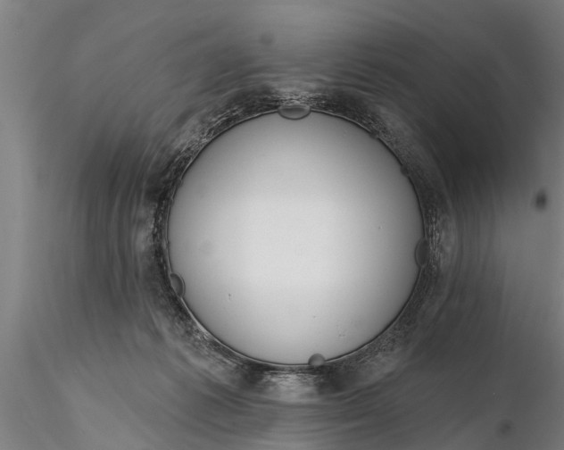 X0000116380221200912161508