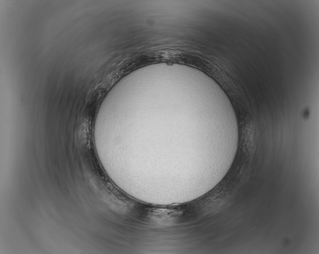 X0000116380222200912161508