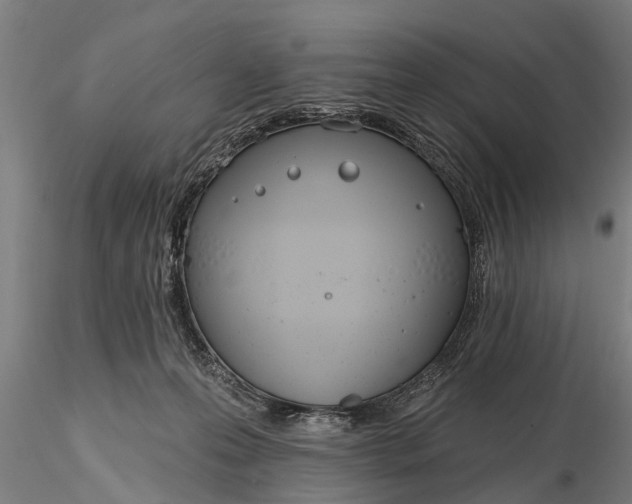 X0000116380223200912161508