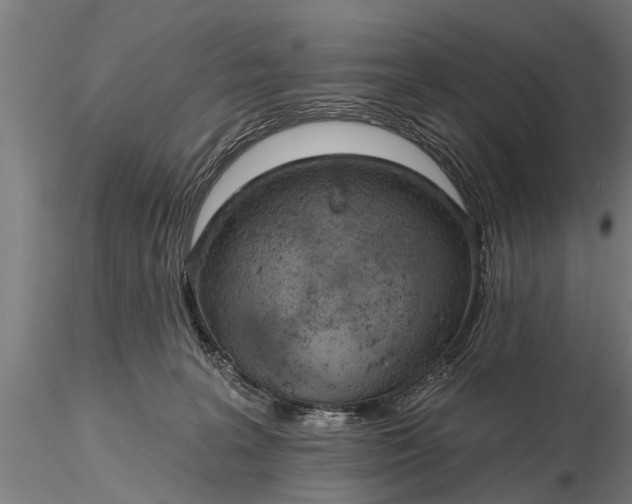 X0000116380227200912161508