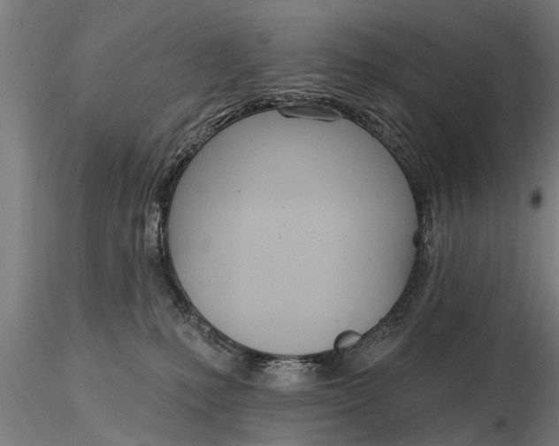 X0000116380231200912161508