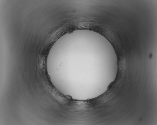 X0000116380233200912161508