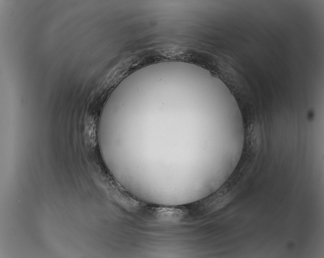 X0000116380234200912161508