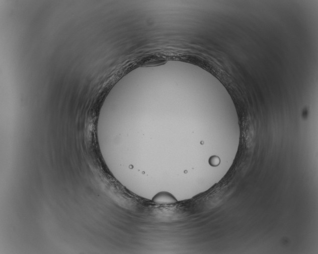 X0000116380235200912161508