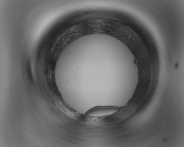 X0000116380239200912161508