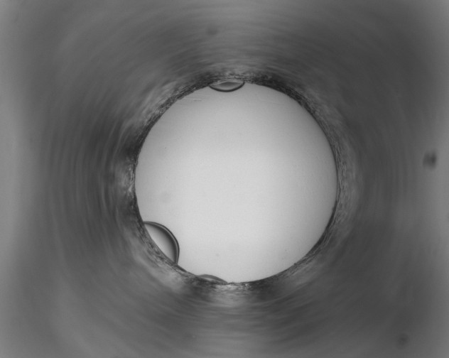 X0000116380240200912161508