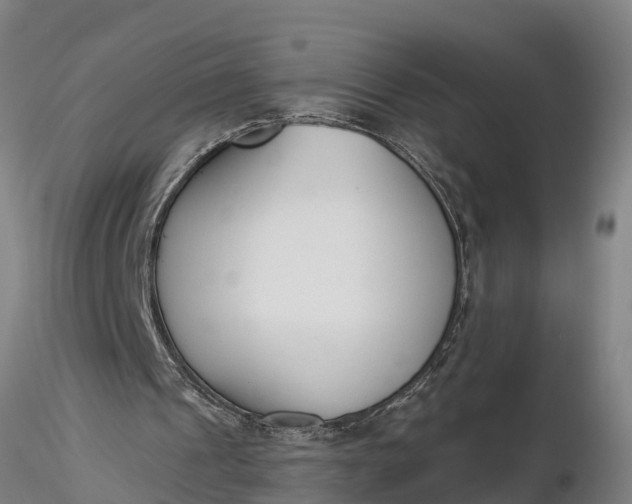 X0000116380241200912161507