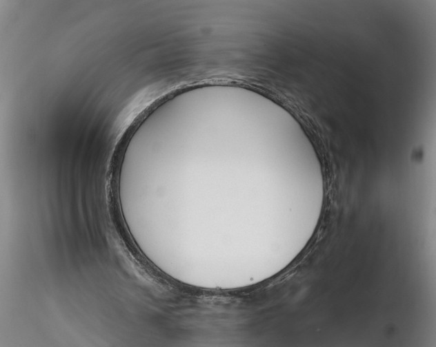 X0000116380242200912161507