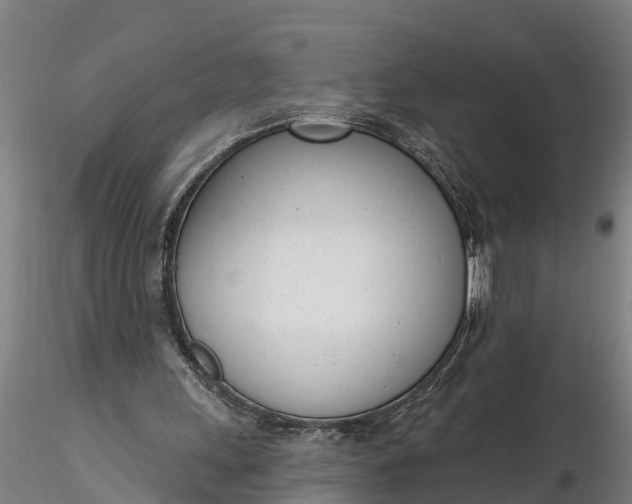 X0000116380243200912161507