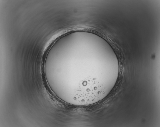 X0000116380244200912161507
