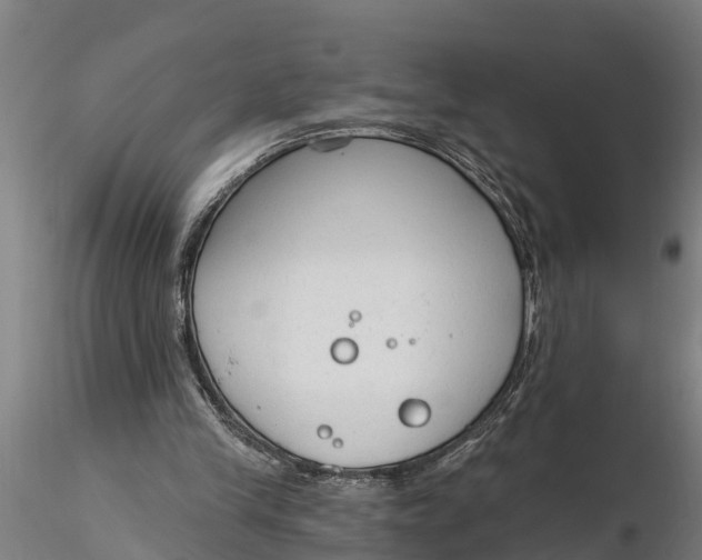 X0000116380245200912161507