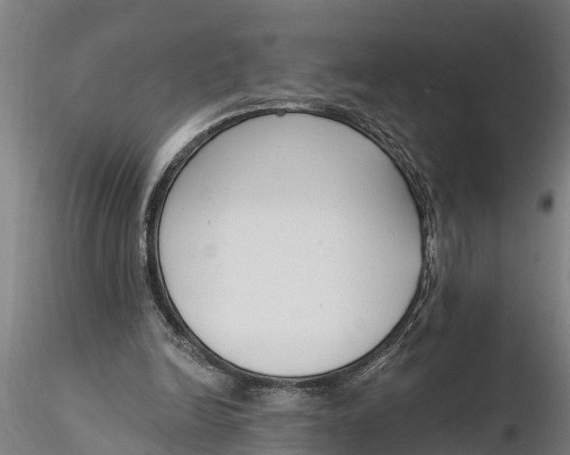 X0000116380246200912161507