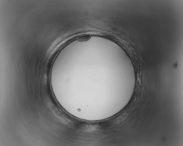 X0000116380247200912161507
