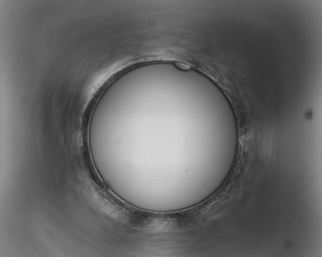 X0000116380248200912161507