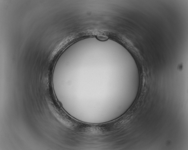 X0000116380250200912161507