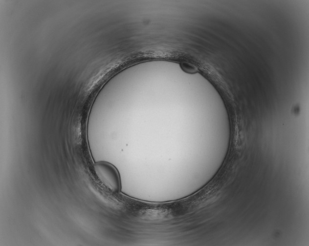 X0000116380251200912161507