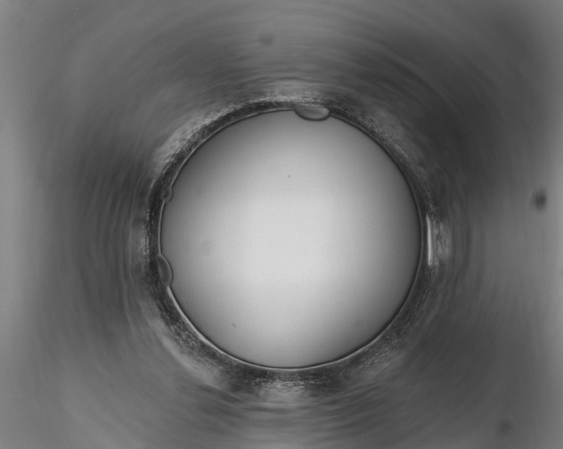 X0000116380252200912161507