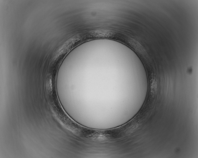 X0000116380254200912161507