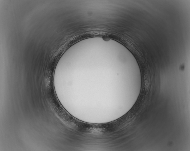 X0000116380255200912161507