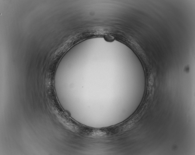 X0000116380257200912161507