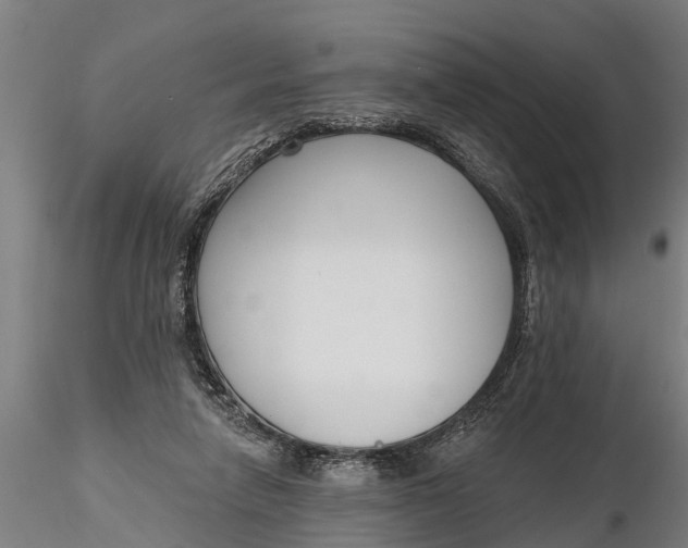 X0000116380258200912161507