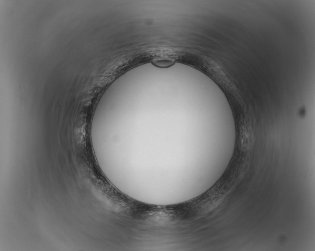 X0000116380259200912161507