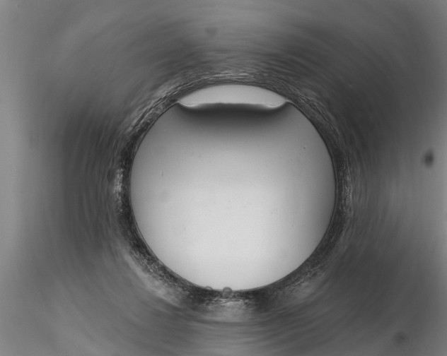 X0000116380260200912161507