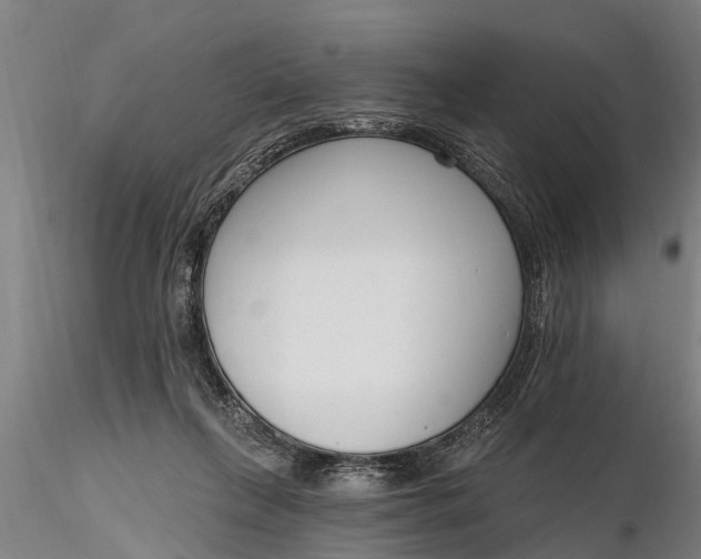 X0000116380263200912161507