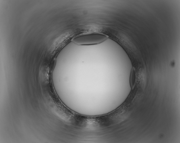 X0000116380264200912161507