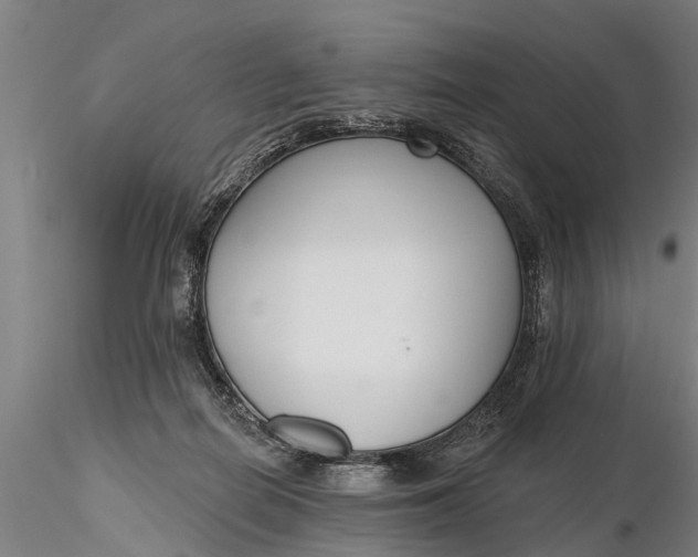 X0000116380266200912161508