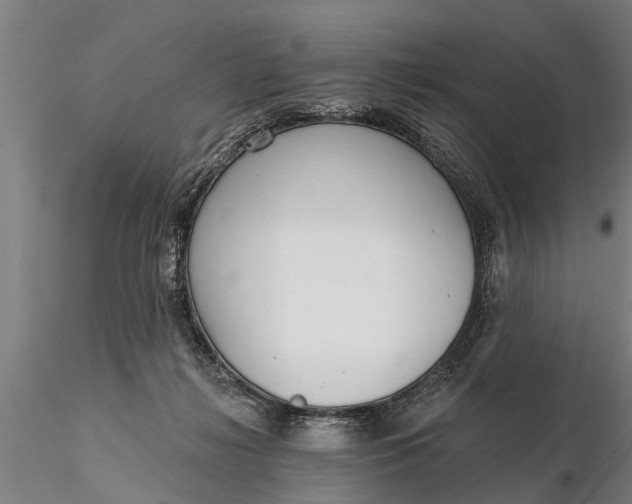X0000116380268200912161508
